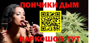 индика Владимир