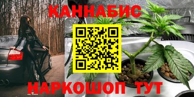 ПСИЛОЦИБИНОВЫЕ ГРИБЫ Владикавказ