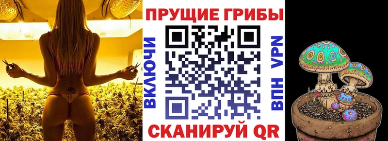 купить наркоту  Богородск  Псилоцибиновые грибы MAGIC MUSHROOMS 