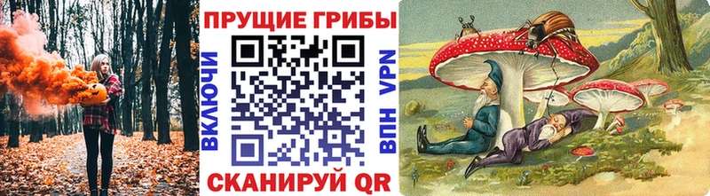 Псилоцибиновые грибы Psilocybe Богородск