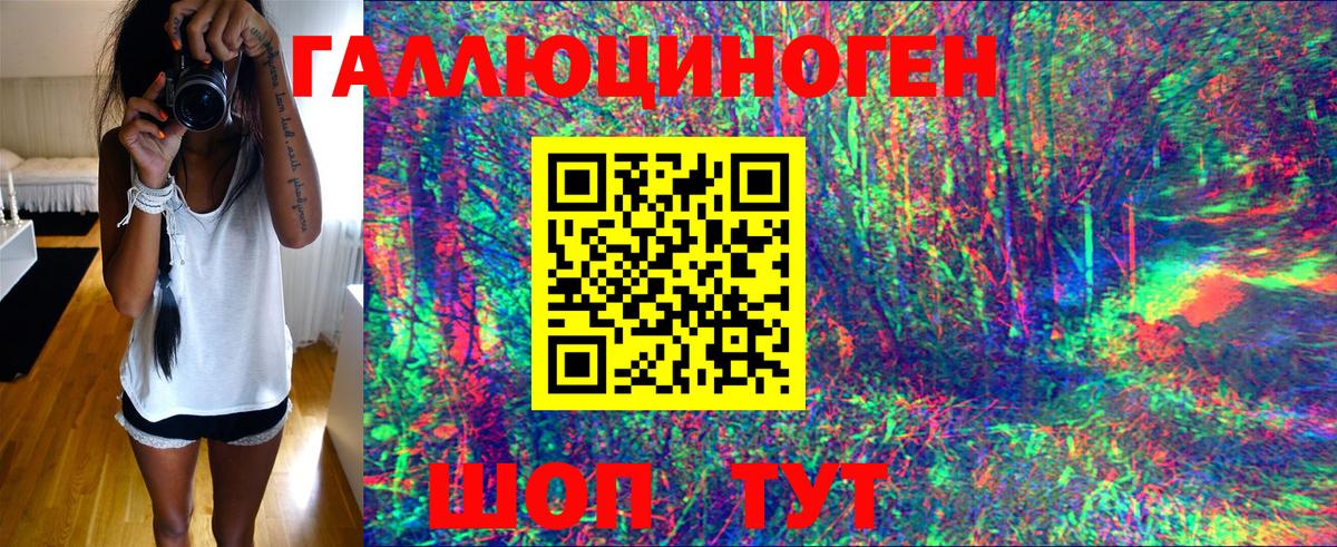 Псилоцибиновые грибы Psilocybe  Вход с VPN  Богородск 
