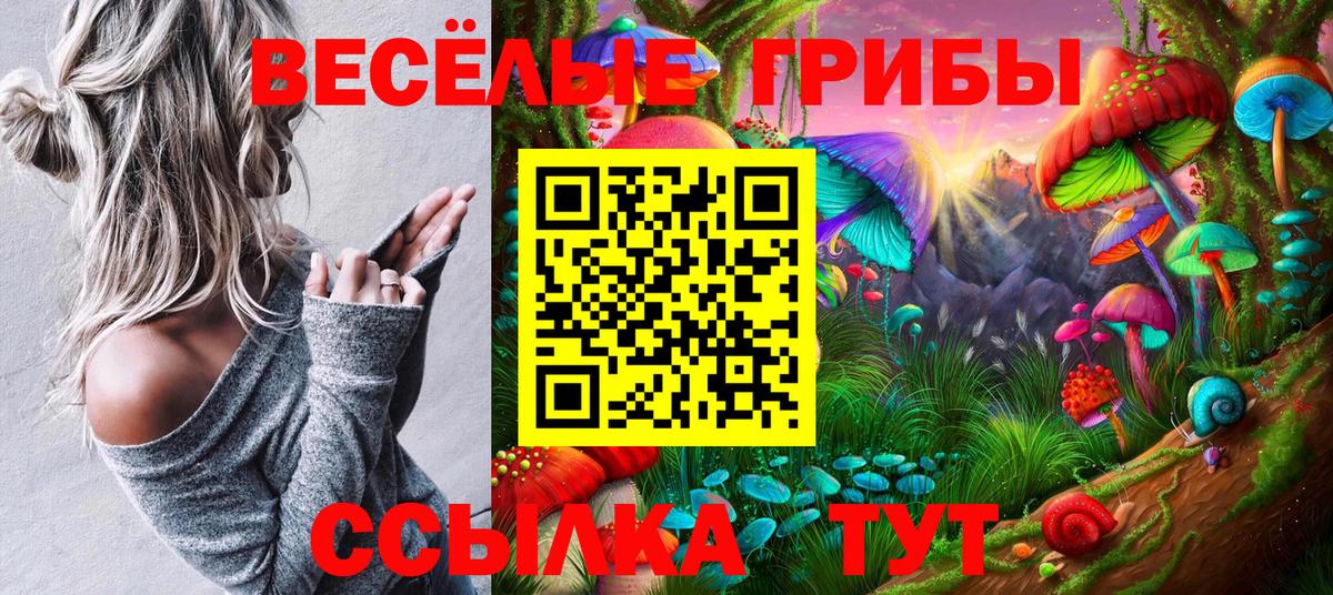 Галлюциногенные грибы GOLDEN TEACHER Богородск